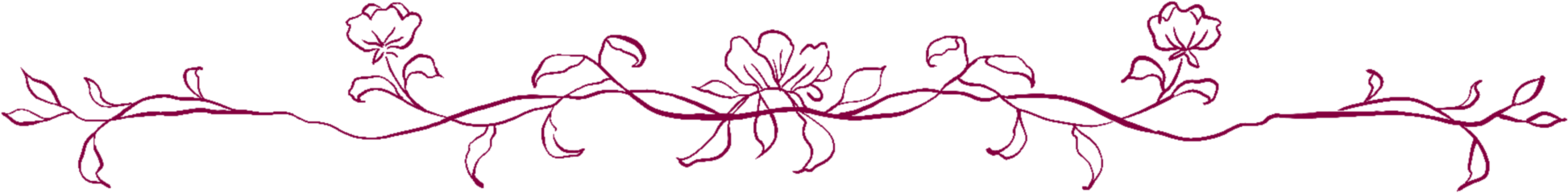Flower Frame